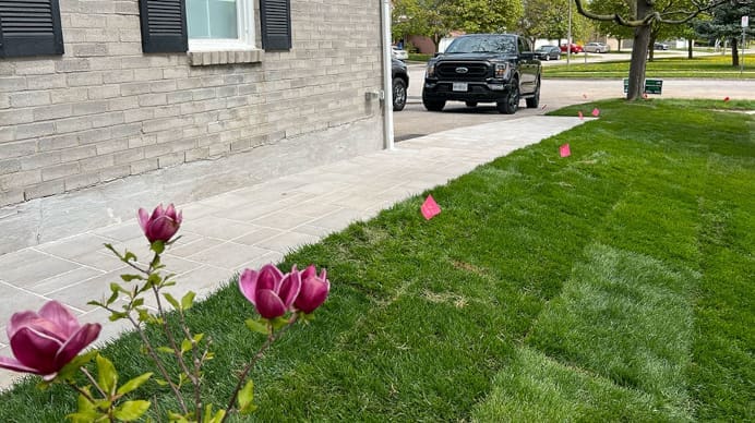 Bright green freshly laid sod along the side a residential property